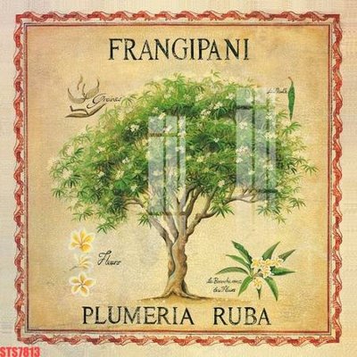 Download file gốc Tranh sơn dầu phương tây tổng hợp STS7813 (in lụa) hoa lá