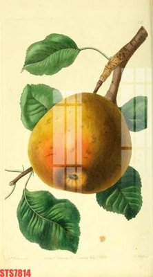 File in trần Tranh sơn dầu phương tây tổng hợp STS7814 (bản gốc) hoa văn