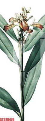 File tranh Tranh sơn dầu phương tây tổng hợp STS78476 (bản gốc) in lụa 5D