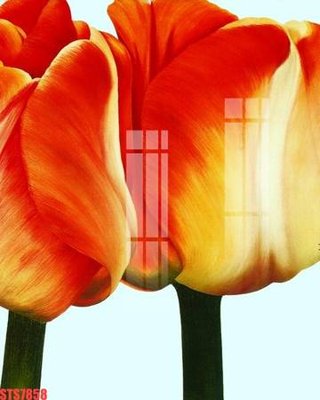 File in ấn Tranh sơn dầu phương tây tổng hợp STS7858 chuyên nghiệp