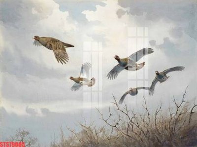 Tải file gốc in lụa Tranh sơn dầu phương tây tổng hợp STS79085 siêu nét