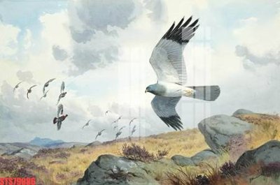 File in trần Tranh sơn dầu phương tây tổng hợp STS79086 (bản gốc) hoa văn