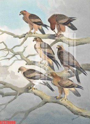 File gốc in ấn Tranh sơn dầu phương tây tổng hợp STS79088 độ phân giải cao