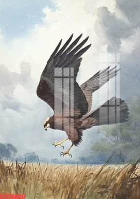 File tranh Tranh sơn dầu phương tây tổng hợp STS79089 (bản gốc) trang trí văn phòng