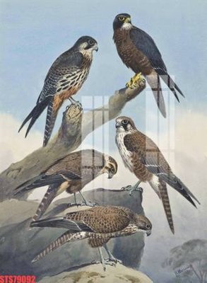 File PSD Tranh sơn dầu phương tây tổng hợp STS79092 (bản gốc) chất lượng nhất