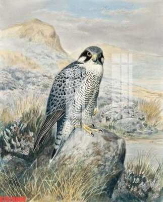 File gốc Tranh sơn dầu phương tây tổng hợp STS79094 (PNG) không nền chất lượng