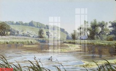 Tải file gốc Tranh sơn dầu phương tây tổng hợp STS79111 (in khổ lớn) không mờ