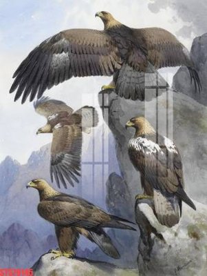 Tệp tin gốc Tranh sơn dầu phương tây tổng hợp STS79145 (dùng cho in ấn) chuyên nghiệp