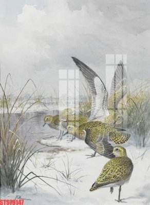 Cung cấp file tranh gốc Tranh sơn dầu phương tây tổng hợp STS79147 độc quyền