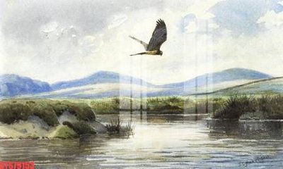 File gốc Tranh sơn dầu phương tây tổng hợp STS79153 (in tráng gương) nghệ thuật