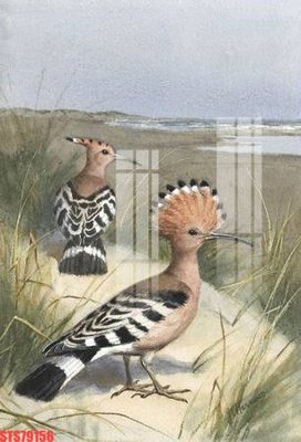 Tải file gốc Tranh sơn dầu phương tây tổng hợp STS79156 dùng cho in ấn