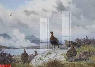 Download file gốc Tranh sơn dầu phương tây tổng hợp STS79173 (in lụa) hoa lá