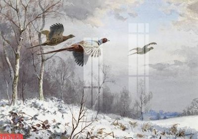 File ảnh Tranh sơn dầu phương tây tổng hợp STS79176 (gốc) in quảng cáo ngoài trời