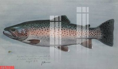 File gốc Tranh sơn dầu phương tây tổng hợp STS79186 (chuẩn CMYK) cho nhà in