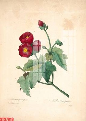 File in trần Tranh sơn dầu phương tây tổng hợp STS7919 (bản gốc) phong cảnh