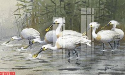 Download file Tranh sơn dầu phương tây tổng hợp STS79193 (gốc) in mica cao cấp