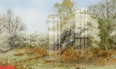 File tranh Tranh sơn dầu phương tây tổng hợp STS79198 (ảnh gốc) in trần xuyên sáng