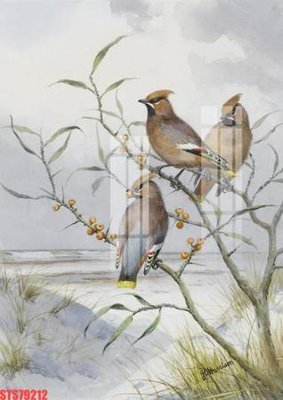 File tranh gốc Tranh sơn dầu phương tây tổng hợp STS79212 (bản quyền) độc đáo