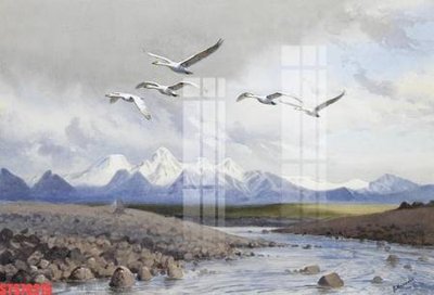 File tranh Tranh sơn dầu phương tây tổng hợp STS79215 (ảnh gốc) in trần xuyên sáng