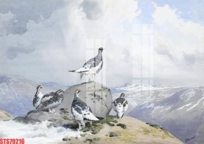 File gốc Tranh sơn dầu phương tây tổng hợp STS79216 (in tráng gương) nghệ thuật