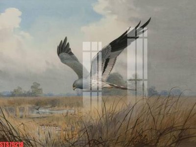 File tranh Tranh sơn dầu phương tây tổng hợp STS79218 (ảnh gốc) không bị mờ