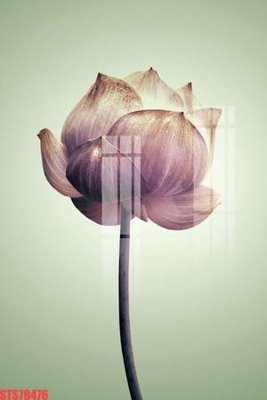 Download file gốc Tranh sơn dầu phương tây tổng hợp STS79476 (độ nét cao)