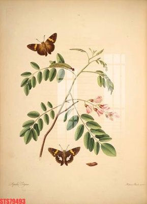 File tranh trang trí Tranh sơn dầu phương tây tổng hợp STS79493 (file gốc)