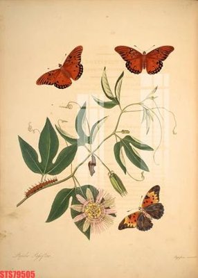 File gốc Tranh sơn dầu phương tây tổng hợp STS79505 (trang trí) phòng trẻ em