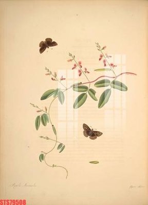 Tải file Tranh sơn dầu phương tây tổng hợp STS79508 (gốc) để in ấn ngay