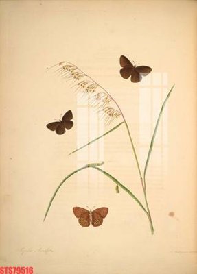 File gốc Tranh sơn dầu phương tây tổng hợp STS79516 (in mica) làm bảng hiệu