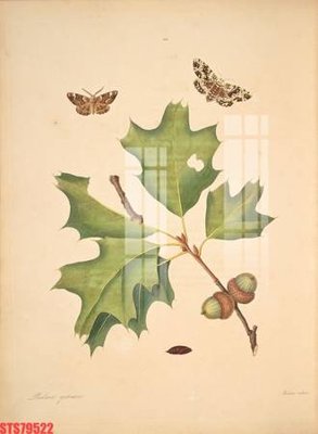 File gốc Tranh sơn dầu phương tây tổng hợp STS79522 (in lụa) chi tiết cao