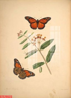 Download file Tranh sơn dầu phương tây tổng hợp STS79523 (chuẩn in) Tranh sơn dầu phương tây tổng hợp STS79523