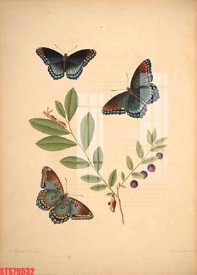 File tranh Tranh sơn dầu phương tây tổng hợp STS79532 (bản gốc) in lụa 5D