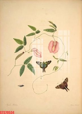 File gốc Tranh sơn dầu phương tây tổng hợp STS79534 (in lụa) họa tiết 3D