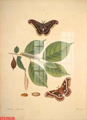 File gốc Tranh sơn dầu phương tây tổng hợp STS79545 (ảnh chi tiết) để in ấn