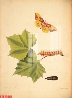 File gốc Tranh sơn dầu phương tây tổng hợp STS79567 (PNG) không nền chất lượng