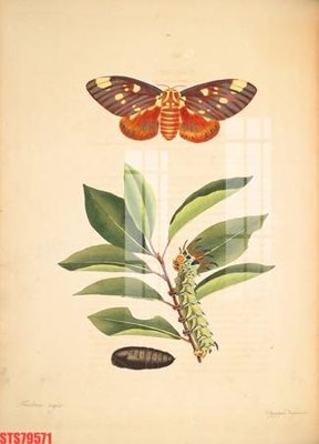 File ảnh Tranh sơn dầu phương tây tổng hợp STS79571 (gốc) cho trang trí nhà hàng