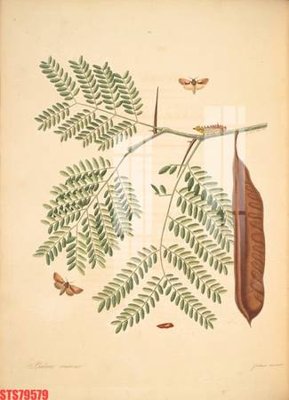 File tranh Tranh sơn dầu phương tây tổng hợp STS79579 (gốc) chủ đề trừu tượng