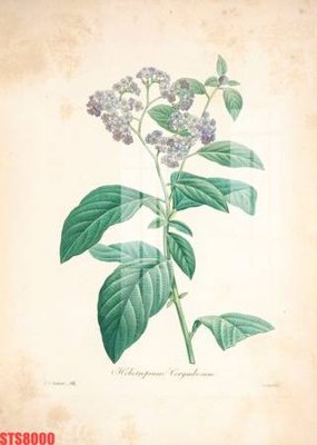 Hình ảnh file gốc Tranh sơn dầu phương tây tổng hợp STS8000 cho in UV