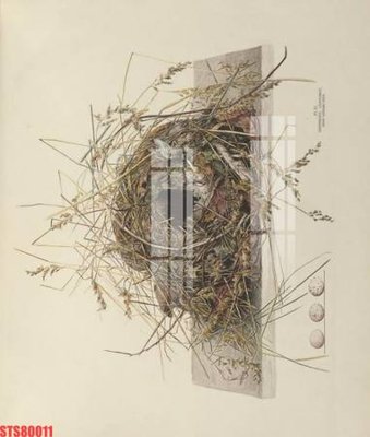 Hình ảnh gốc Tranh sơn dầu phương tây tổng hợp STS80011 (để in khổ lớn)