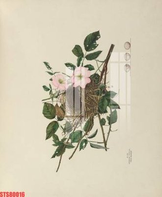 File gốc Tranh sơn dầu phương tây tổng hợp STS80016 (PNG) chất lượng cao