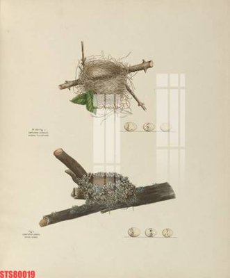 Tải file Tranh sơn dầu phương tây tổng hợp STS80019 (ảnh gốc) file AI/EPS