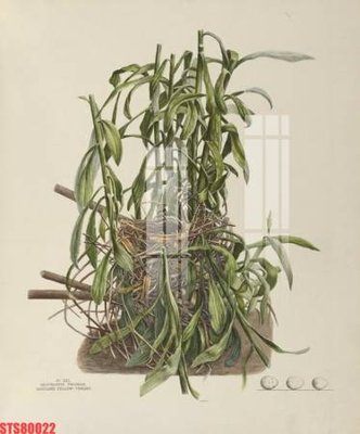 File gốc Tranh sơn dầu phương tây tổng hợp STS80022 (in tráng gương) hiện đại