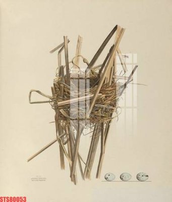 File gốc Tranh sơn dầu phương tây tổng hợp STS80053 (in lụa) hoa văn cổ điển