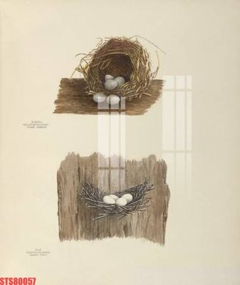 Ảnh gốc file in lụa Tranh sơn dầu phương tây tổng hợp STS80057 chi tiết