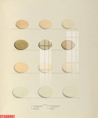 File gốc Tranh sơn dầu phương tây tổng hợp STS80067 (dành cho trang trí nội thất)