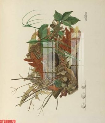 File tranh Tranh sơn dầu phương tây tổng hợp STS80070 (ảnh gốc) chi tiết rõ ràng