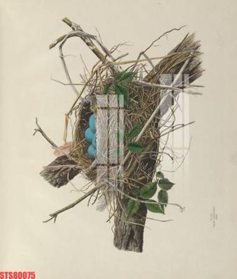 File tranh quảng cáo Tranh sơn dầu phương tây tổng hợp STS80075 (download file gốc)