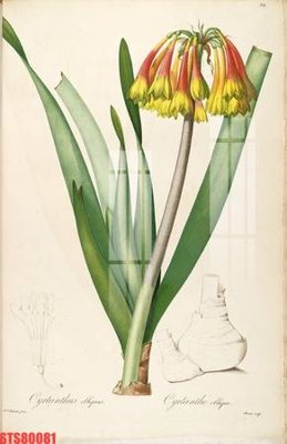 Tải về file gốc Tranh sơn dầu phương tây tổng hợp STS80081 (chuẩn in ấn)