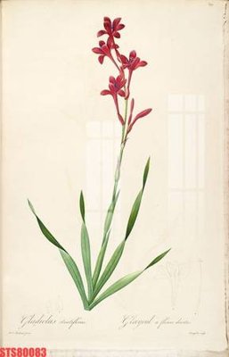 Download file Tranh sơn dầu phương tây tổng hợp STS80083 (gốc) in mica đèn LED